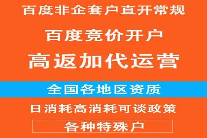 SEM代理助力品牌：案例解析，优化策略全揭秘